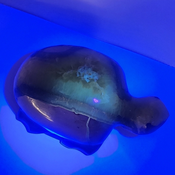 Septerian Carved Turtle. 4in X 2in. 502grams. UV Reactive - Picture 9 of 9